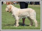 Filename=R_Cherriecola_6.jpg
Filesize=1189KiB
Dimensions=1190x877
Date added=Aug 11, 2017 R_Cherriecola_6.jpg