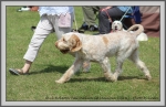 Filename=R_FairDinkum_3.jpg
Filesize=1182KiB
Dimensions=1190x776
Date added=Aug 11, 2017 R_FairDinkum_3.jpg
