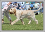 Filename=R_FairDinkum_6.jpg
Filesize=1218KiB
Dimensions=1190x860
Date added=Aug 11, 2017 R_FairDinkum_6.jpg