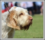 Filename=R_FairDinkum_7.jpg
Filesize=1247KiB
Dimensions=1190x1055
Date added=Aug 11, 2017 R_FairDinkum_7.jpg