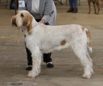 Filename=I-Fiorella.jpg
Filesize=207KiB
Dimensions=800x673
Date added=Aug 11, 2017 I-Fiorella.jpg