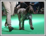 Filename=T_Ettore_1.jpg
Filesize=241KiB
Dimensions=1190x931
Date added=Aug 11, 2017 T_Ettore_1.jpg
