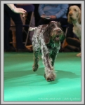 Filename=T_WickedWinnie_2.jpg
Filesize=238KiB
Dimensions=961x1190
Date added=Aug 11, 2017 T_WickedWinnie_2.jpg