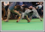 Filename=T_WickedWinnie_3.jpg
Filesize=219KiB
Dimensions=1190x834
Date added=Aug 11, 2017 T_WickedWinnie_3.jpg
