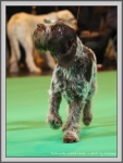 Filename=T_WickedWinnie_4.jpg
Filesize=224KiB
Dimensions=900x1190
Date added=Aug 11, 2017 T_WickedWinnie_4.jpg