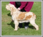 Filename=A_PawsForApplause.jpg
Filesize=1666KiB
Dimensions=1190x1036
Date added=Aug 11, 2017 A_PawsForApplause.jpg