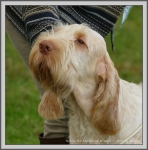 Filename=Aurelia-TheExplorer_1.jpg
Filesize=1226KiB
Dimensions=1181x1190
Date added=Aug 11, 2017 Aurelia-TheExplorer_1.jpg