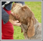 Filename=Diana-DiRimnisInostricani_2.jpg
Filesize=1419KiB
Dimensions=1190x1164
Date added=Aug 11, 2017 Diana-DiRimnisInostricani_2.jpg