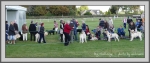 Filename=DogChallenge_1.jpg
Filesize=742KiB
Dimensions=1190x507
Date added=Aug 11, 2017 DogChallenge_1.jpg
