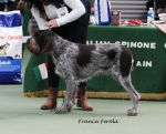Filename=Franca-Ferola.jpg
Filesize=157KiB
Dimensions=800x647
Date added=Aug 11, 2017 Franca-Ferola.jpg
