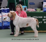Filename=I-Fiorella.jpg
Filesize=173KiB
Dimensions=800x738
Date added=Aug 11, 2017 I-Fiorella.jpg