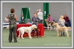 Filename=Connor_P1190504.jpg
Filesize=884KiB
Dimensions=1190x794
Date added=Aug 11, 2017 Connor_P1190504.jpg