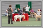 Filename=Connor_P1190505.jpg
Filesize=889KiB
Dimensions=1190x794
Date added=Aug 11, 2017 Connor_P1190505.jpg