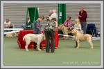 Filename=Connor_P1190509.jpg
Filesize=859KiB
Dimensions=1190x794
Date added=Aug 11, 2017 Connor_P1190509.jpg