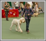 Filename=Connor_P1190521.jpg
Filesize=960KiB
Dimensions=1190x1054
Date added=Aug 11, 2017 Connor_P1190521.jpg