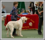 Filename=Connor_P1190532.jpg
Filesize=1068KiB
Dimensions=1190x1066
Date added=Aug 11, 2017 Connor_P1190532.jpg