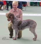 Filename=Diana-DiRimnisInostricani.jpg
Filesize=235KiB
Dimensions=800x846
Date added=Aug 11, 2017 Diana-DiRimnisInostricani.jpg