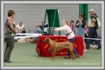 Filename=Ellie_P1190484.jpg
Filesize=848KiB
Dimensions=1190x794
Date added=Aug 11, 2017 Ellie_P1190484.jpg