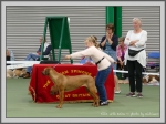 Filename=Ellie_P1190485.jpg
Filesize=939KiB
Dimensions=1190x890
Date added=Aug 11, 2017 Ellie_P1190485.jpg