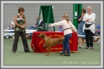 Filename=Ellie_P1190486.jpg
Filesize=810KiB
Dimensions=1190x794
Date added=Aug 11, 2017 Ellie_P1190486.jpg