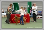 Filename=Ellie_P1190487.jpg
Filesize=899KiB
Dimensions=1190x830
Date added=Aug 11, 2017 Ellie_P1190487.jpg