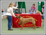 Filename=Ellie_P1190488.jpg
Filesize=1049KiB
Dimensions=1190x910
Date added=Aug 11, 2017 Ellie_P1190488.jpg