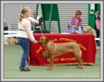 Filename=Ellie_P1190489.jpg
Filesize=1096KiB
Dimensions=1190x950
Date added=Aug 11, 2017 Ellie_P1190489.jpg