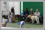 Filename=Ringside_P1190331.jpg
Filesize=860KiB
Dimensions=1190x794
Date added=Aug 11, 2017 Ringside_P1190331.jpg