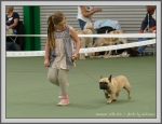 Filename=Summer_P1190573.jpg
Filesize=793KiB
Dimensions=1190x919
Date added=Aug 11, 2017 Summer_P1190573.jpg