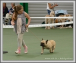 Filename=Summer_P1190574.jpg
Filesize=855KiB
Dimensions=1190x1006
Date added=Aug 11, 2017 Summer_P1190574.jpg