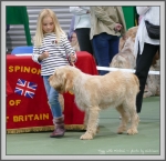 Filename=Tiggy_P1190533.jpg
Filesize=1138KiB
Dimensions=1190x1156
Date added=Aug 11, 2017 Tiggy_P1190533.jpg
