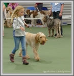 Filename=Tiggy_P1190556.jpg
Filesize=1045KiB
Dimensions=1158x1190
Date added=Aug 11, 2017 Tiggy_P1190556.jpg