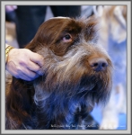 Filename=Bellissimo-BoyDalPodereAntico-1.jpg
Filesize=1173KiB
Dimensions=1069x1090
Date added=Aug 11, 2017 Bellissimo-BoyDalPodereAntico-1.jpg
