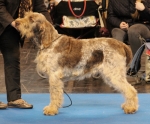 Filename=Del-ComoInostricani.jpg
Filesize=216KiB
Dimensions=800x665
Date added=Aug 11, 2017 Del-ComoInostricani.jpg