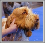 Filename=I-Fiorella_2.jpg
Filesize=1173KiB
Dimensions=1090x1066
Date added=Aug 11, 2017 I-Fiorella_2.jpg