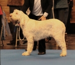 Filename=R-Rafael.jpg
Filesize=204KiB
Dimensions=800x689
Date added=Aug 11, 2017 R-Rafael.jpg