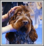 Nom du fichier=T-Ettore_1.jpg
Taille du fichier=1108Ko
Dimensions : 1033x1090
Ajouté le : 11 Août 2017 T-Ettore_1.jpg