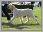 Filename=Aurelia-TheExplorer_1.jpg
Filesize=1247KiB
Dimensions=1190x900
Date added=Aug 11, 2017 Aurelia-TheExplorer_1.jpg