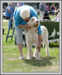 Filename=C_LimonCino.jpg
Filesize=1466KiB
Dimensions=986x1190
Date added=Aug 11, 2017 C_LimonCino.jpg