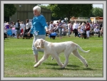Filename=C_LimonCino_1.jpg
Filesize=1368KiB
Dimensions=1190x906
Date added=Aug 11, 2017 C_LimonCino_1.jpg