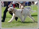 Filename=H_DevonMagic_1.jpg
Filesize=1285KiB
Dimensions=1190x898
Date added=Aug 11, 2017 H_DevonMagic_1.jpg