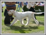 Filename=S_Colorado_2.jpg
Filesize=1253KiB
Dimensions=1190x901
Date added=Aug 11, 2017 S_Colorado_2.jpg