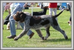 Filename=T_Ettore_2.jpg
Filesize=1201KiB
Dimensions=1190x814
Date added=Aug 11, 2017 T_Ettore_2.jpg