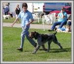 Filename=T_Ettore_4.jpg
Filesize=1550KiB
Dimensions=1190x1025
Date added=Aug 11, 2017 T_Ettore_4.jpg