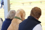 Nom du fichier=Spectators.jpg
Taille du fichier=165Ko
Dimensions : 800x533
Ajouté le : 11 Août 2017 Spectators.jpg