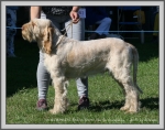Filename=R_Cherriecola.jpg
Filesize=1359KiB
Dimensions=1190x940
Date added=Aug 11, 2017 R_Cherriecola.jpg