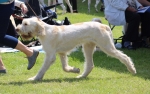 Filename=C-LimonCino_28329a.jpg
Filesize=174KiB
Dimensions=800x504
Date added=Aug 11, 2017 C-LimonCino_28329a.jpg