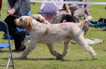 Filename=R-FairDinkum_281529a.jpg
Filesize=199KiB
Dimensions=800x533
Date added=Aug 11, 2017 R-FairDinkum_281529a.jpg
