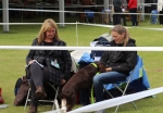 Filename=Ringside_28129.JPG
Filesize=158KiB
Dimensions=800x559
Date added=Aug 11, 2017 Ringside_28129.JPG