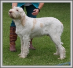 Filename=R_Carluccio_3.jpg
Filesize=1366KiB
Dimensions=1190x1119
Date added=Aug 11, 2017 R_Carluccio_3.jpg